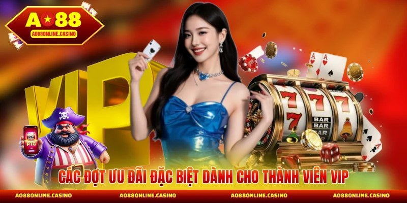 Các đợt ưu đãi đặc biệt dành cho thành viên VIP
