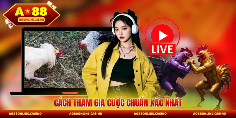 Cách tham gia cược chuẩn xác nhất